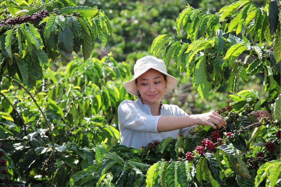 Nestlé lance le NESCAFÉ Plan 2030